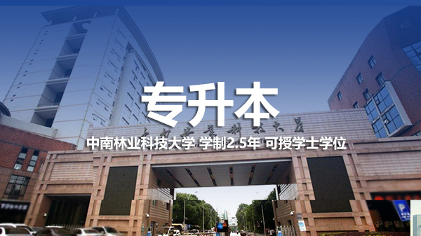 专升本